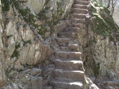 Azud del Mesto - Cascada del Hervidero;senderismo guadalajara arbol tejo rutas cerca de madrid